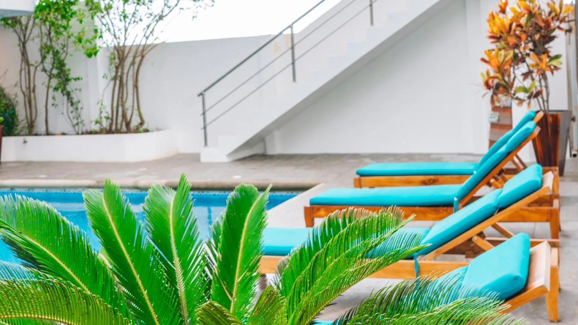 Hotel El Descanso Del Guia Puerto Ayora